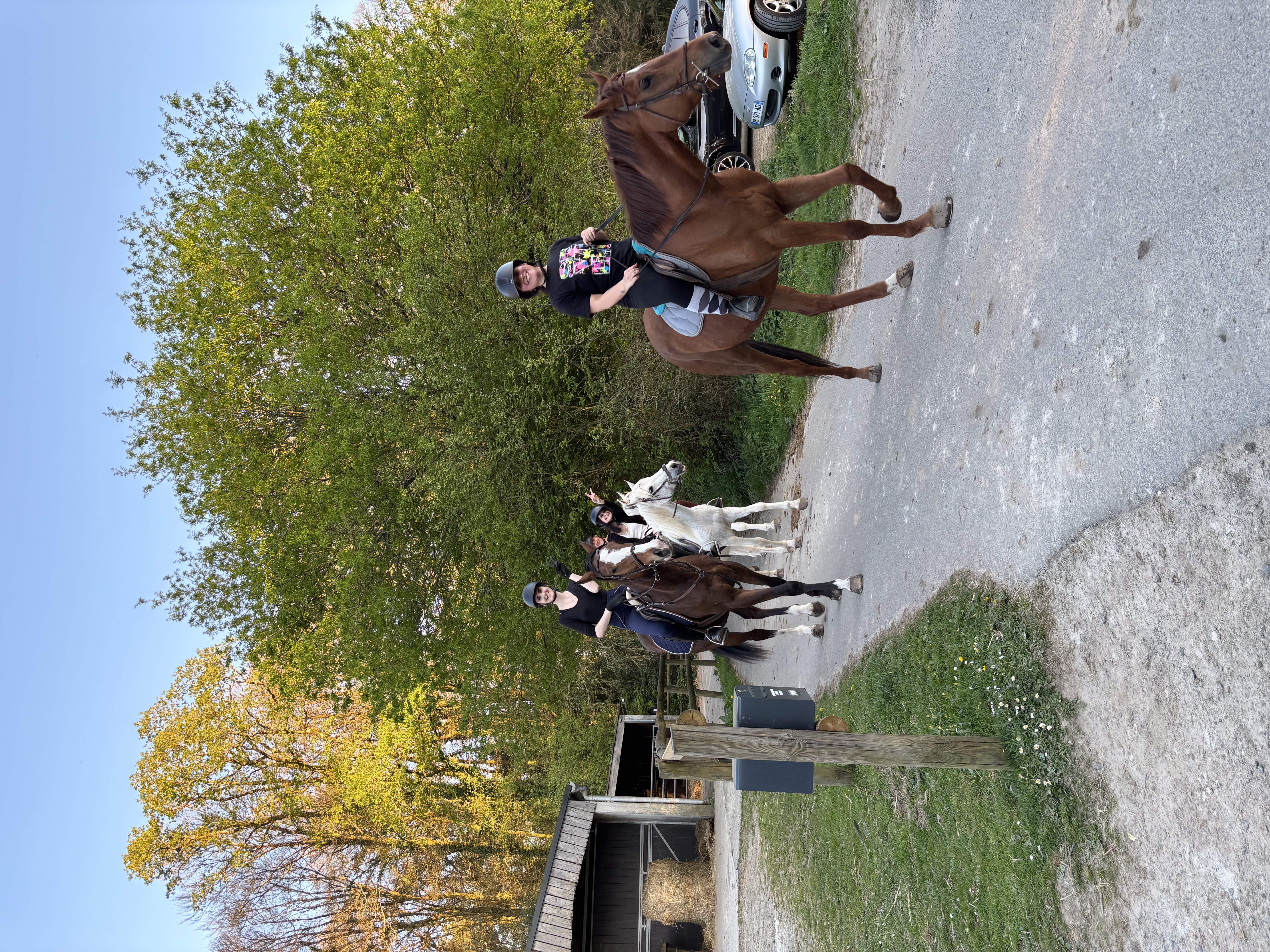 Stage d’équitation – Demi-journée (Non adhérent)