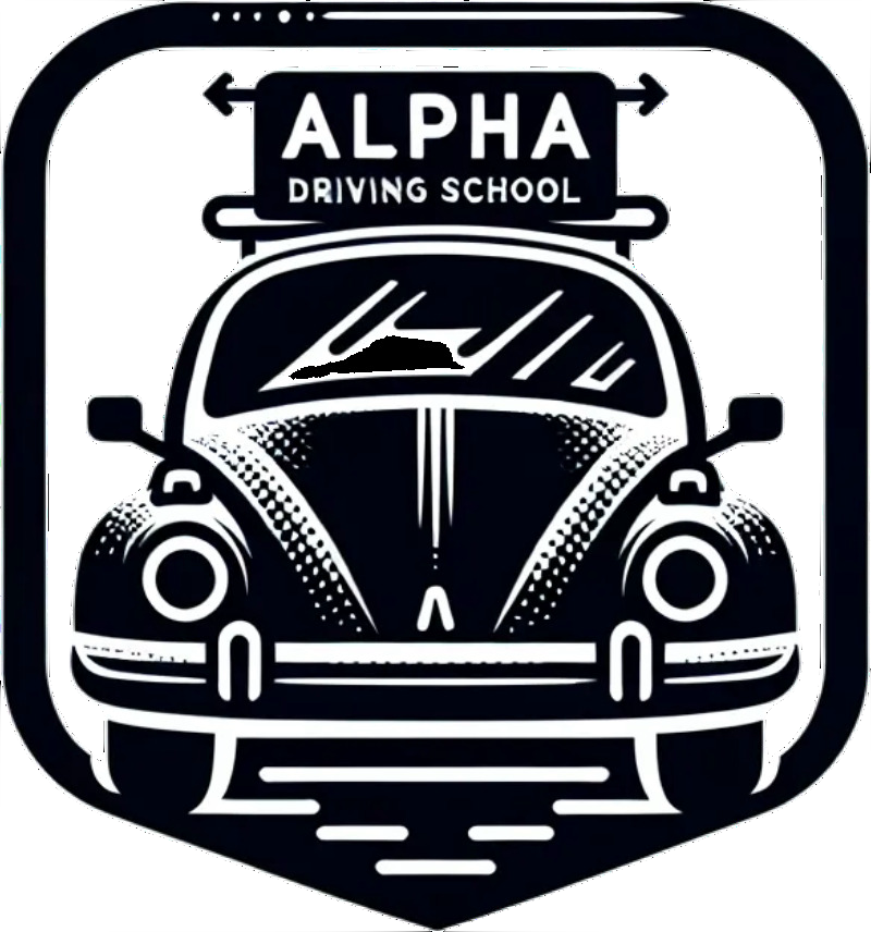 1 Hour Class and DMV Road Test 