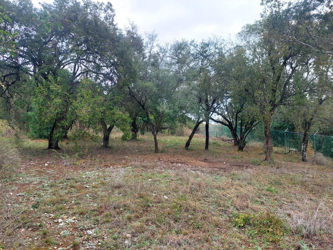 TERRENO CAMPESTRE PARA QUINTA  EN VENTA Fraccionamiento Campestre Misión Antigua