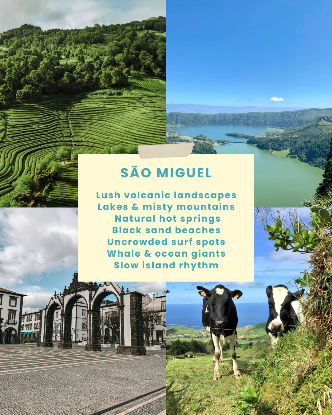 AÇORES 12-16 September 2025 | Beginner & Intermediate
