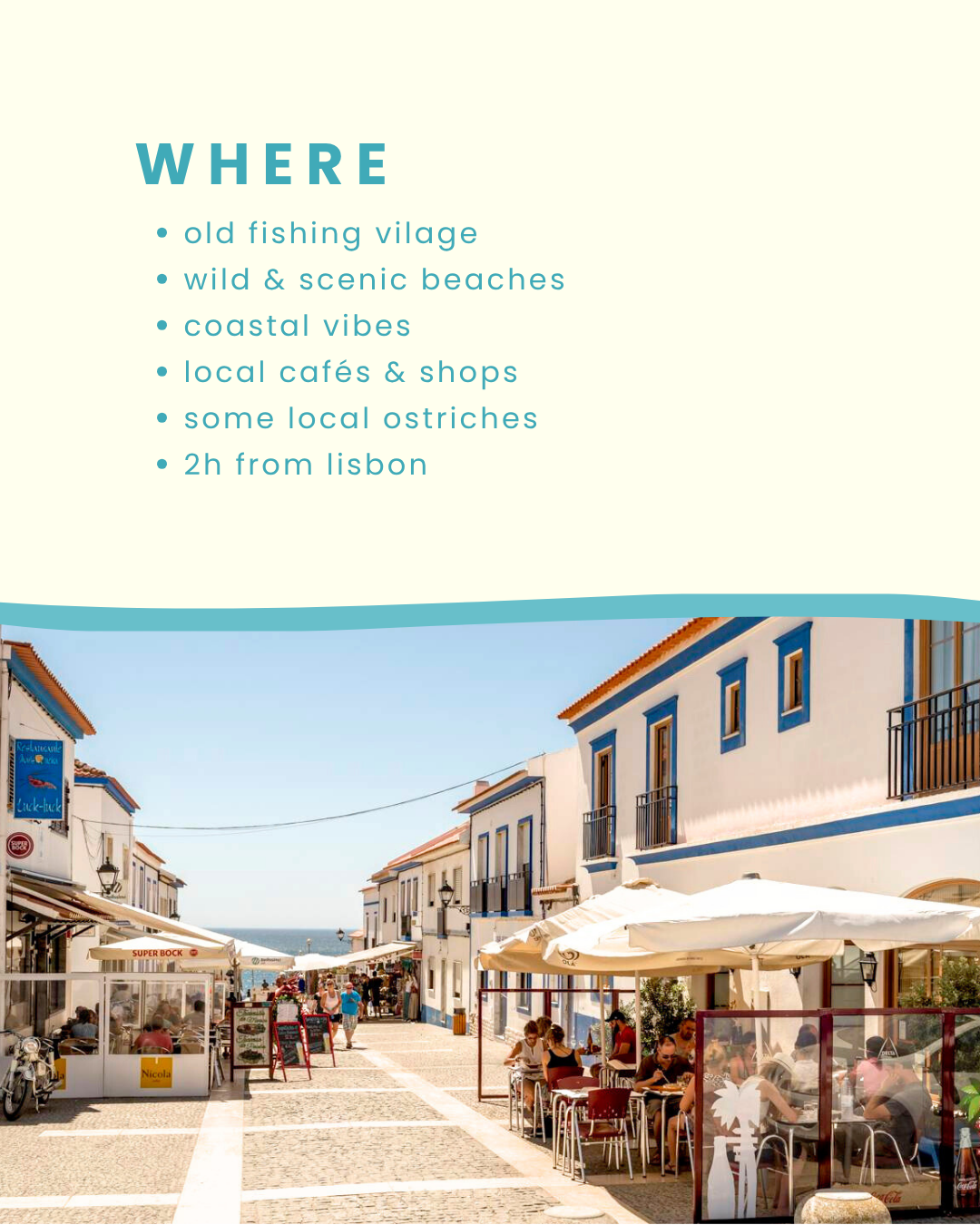 PORTO COVO Nov 2025 | 1 Year Anniversary!