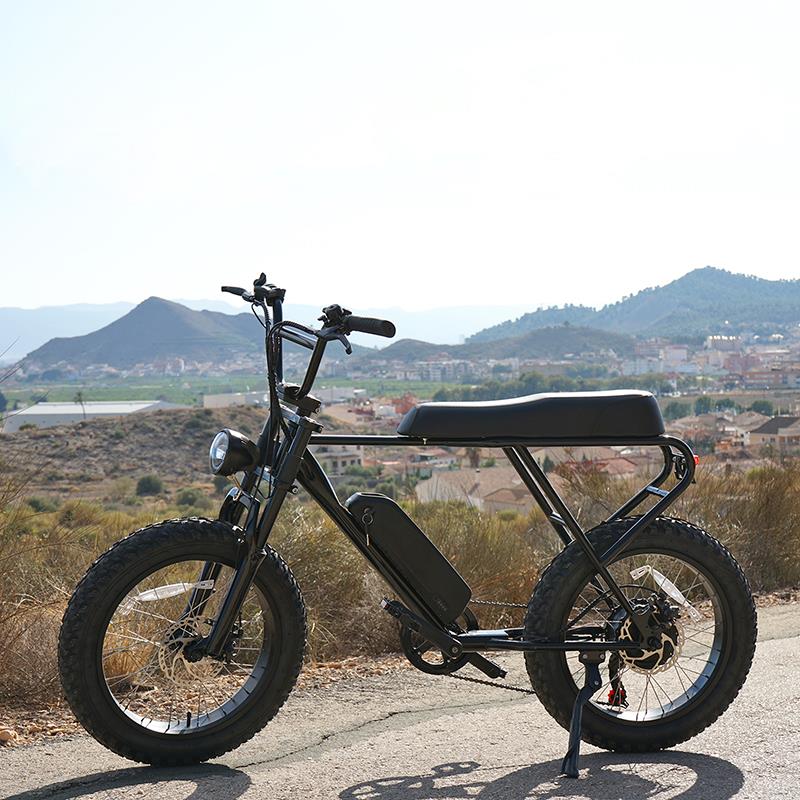 Ebike Extrabike plus