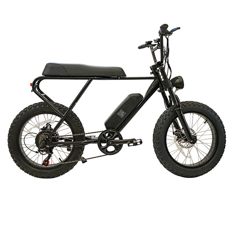 Ebike Extrabike plus