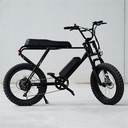 Ebike Extrabike plus