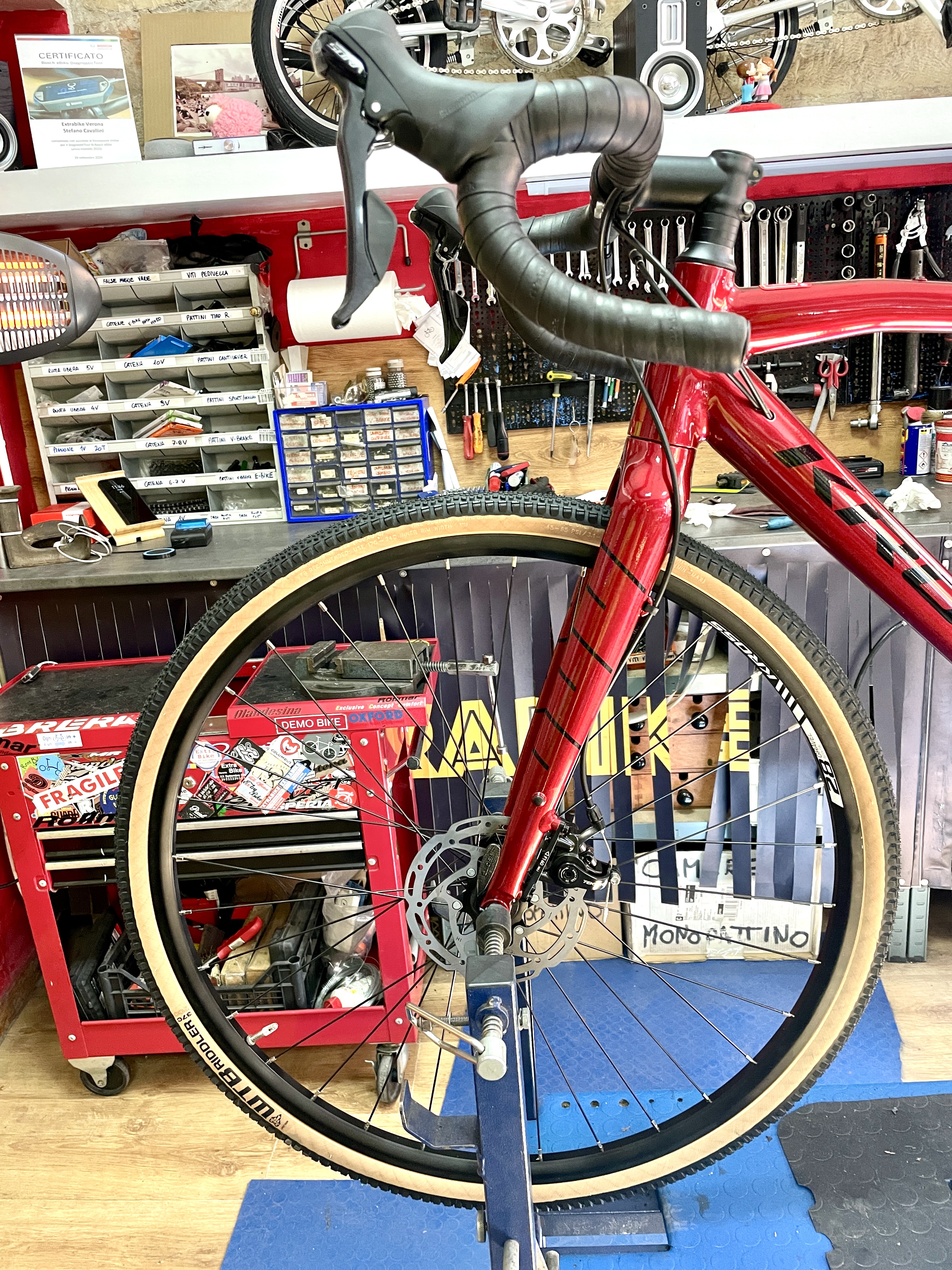 Special price-Check up completo della bicicletta