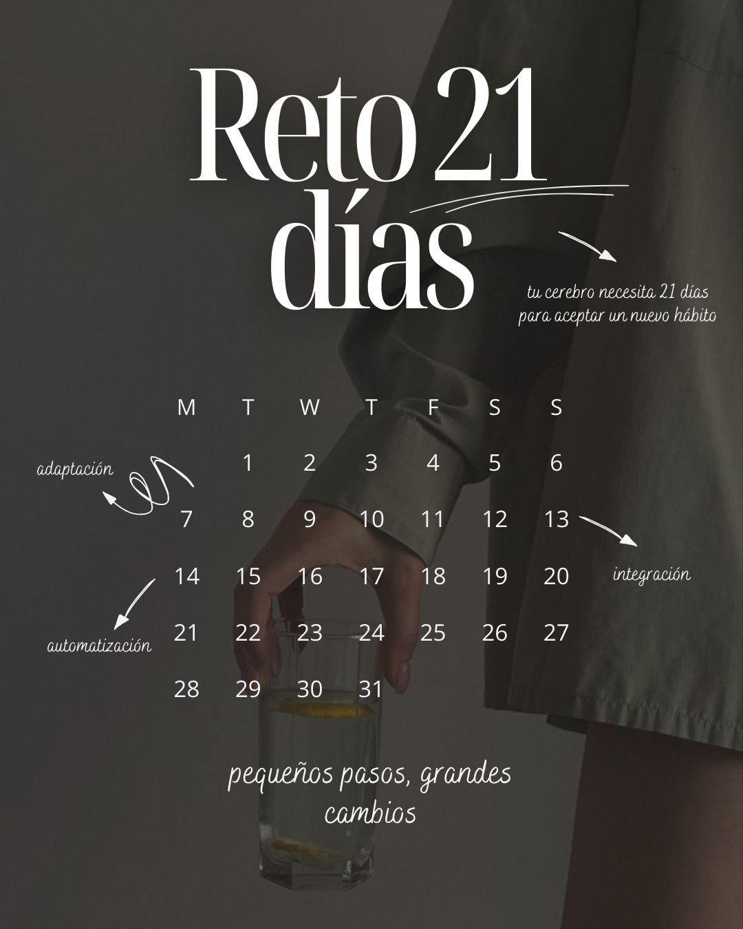 Mentoría Grupal