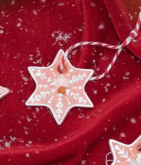 La Mini Etoile Fleurie