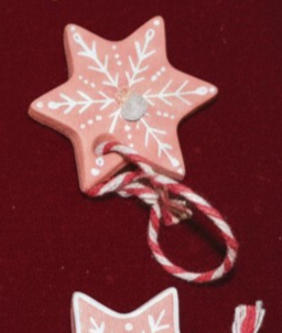 La Mini Etoile Fleurie