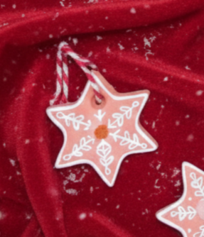 La Mini Etoile Fleurie