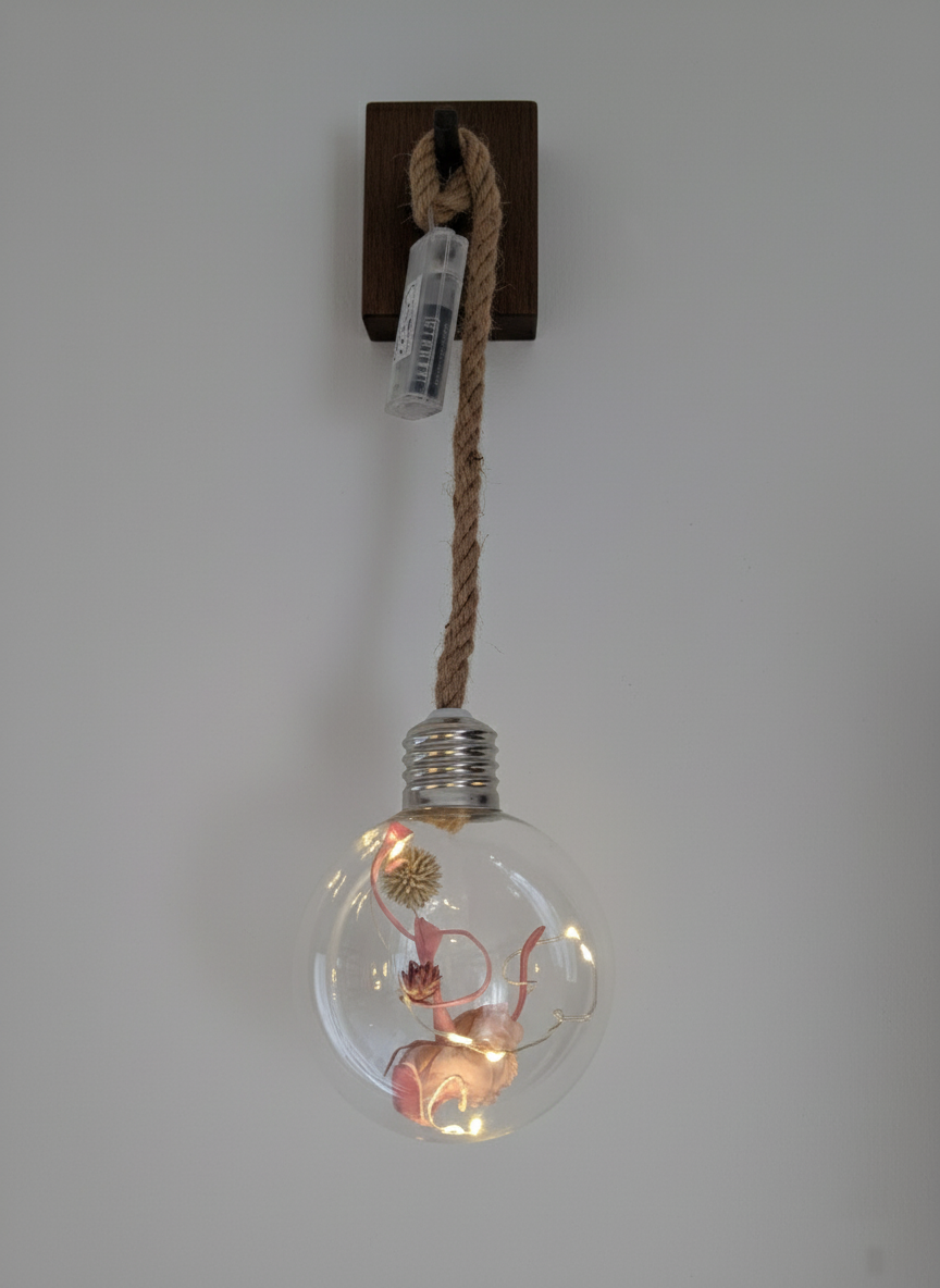 L'Ampoule à la danseuse