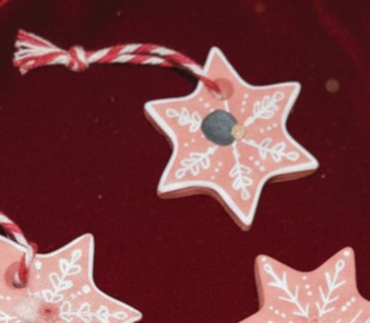 La Mini Etoile Fleurie