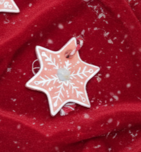 La Mini Etoile Fleurie