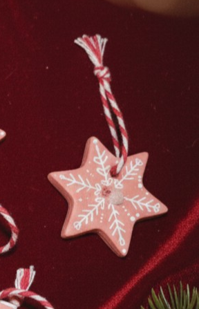 La Mini Etoile Fleurie