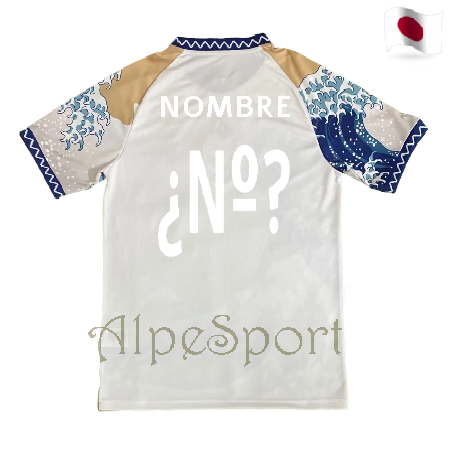 Japón Edición Especial TSUNAMI