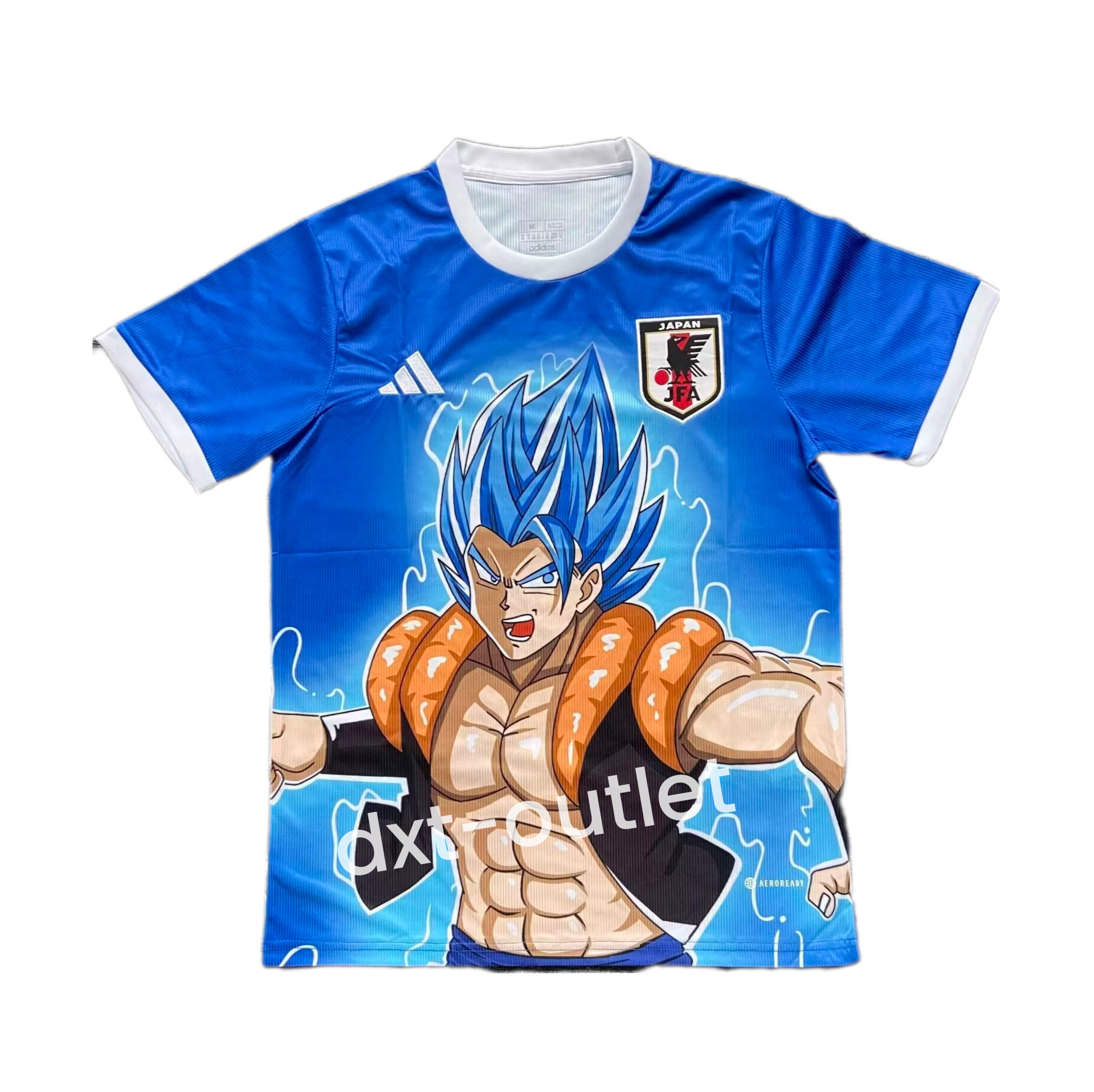 Japón 2025 Edición Especial 