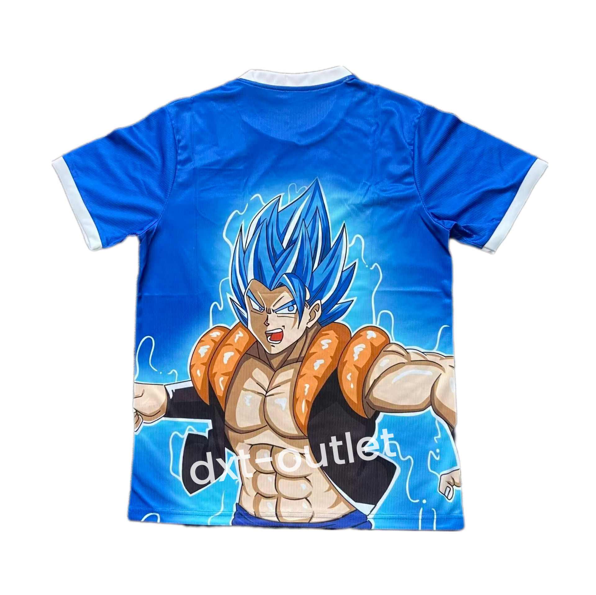 Japón 2025 Edición Especial 