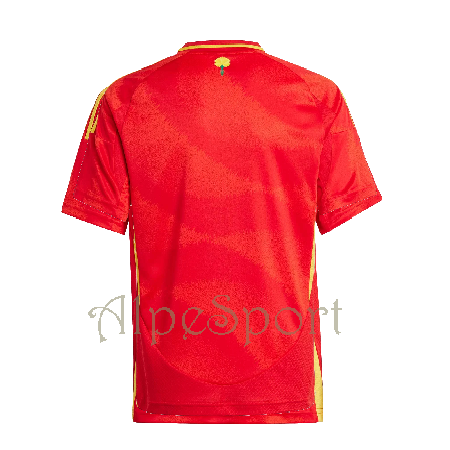 España 2024-25 1ª Réplica