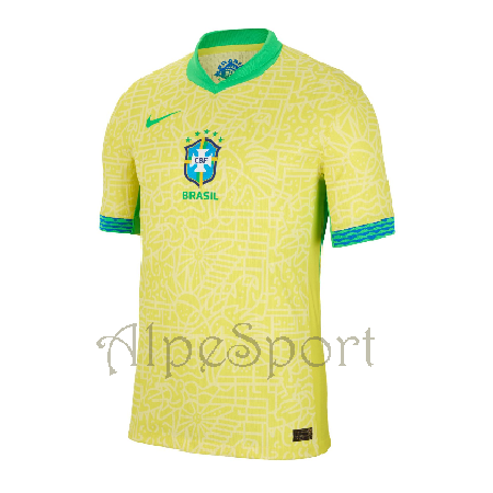 Brasil 2024-25 1ª Réplica