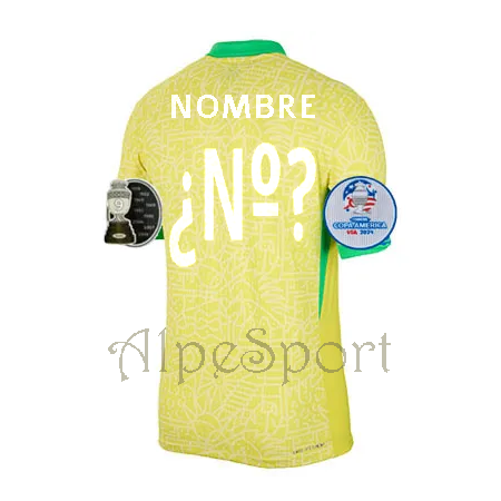 Brasil 2024-25 1ª Réplica