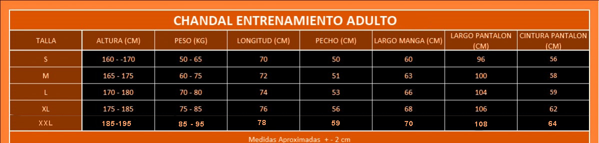 Chándal de Paseo España 2025 celeste