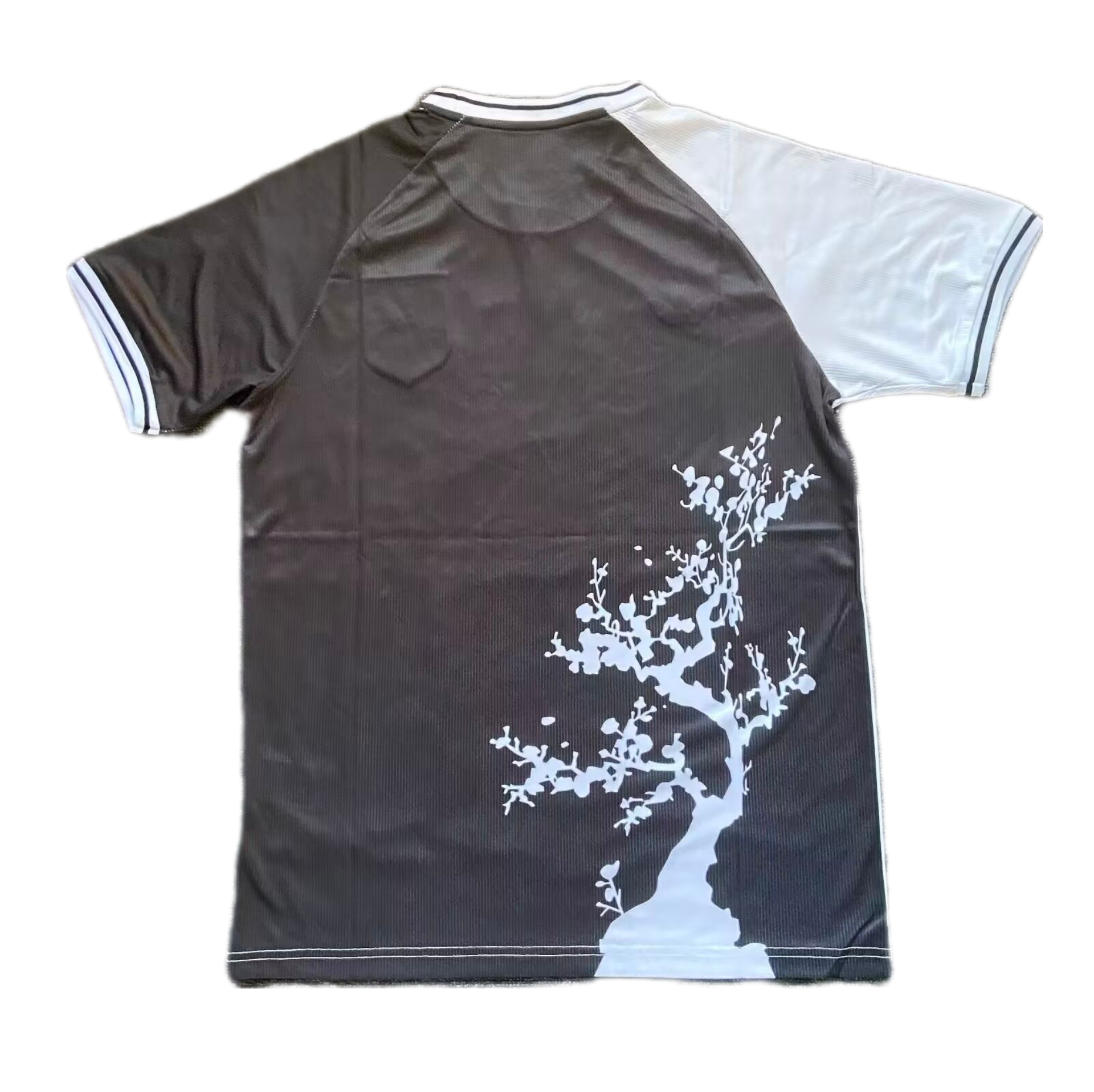 Japón 2025 Edición Especial 