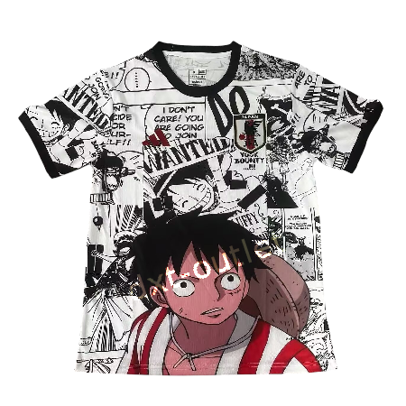 Japón 2025 Edición Especial 