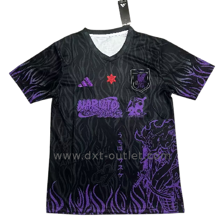 Japón 2025 Edición Especial 