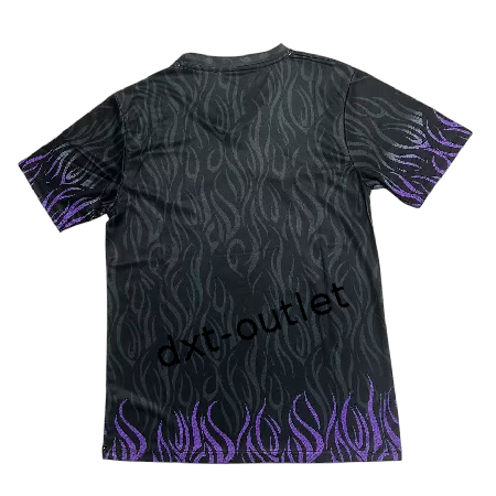 Japón 2025 Edición Especial 