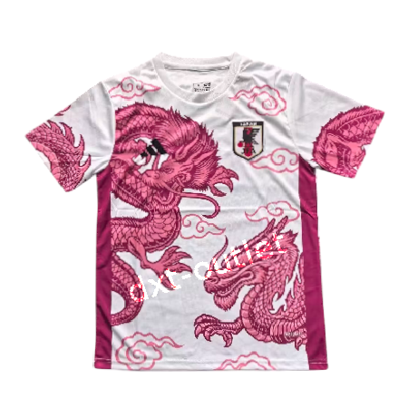 Japón 2025 Edición Especial 