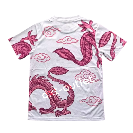 Japón 2025 Edición Especial 