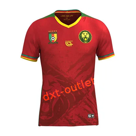 Camerún 2025 2ª Rép.