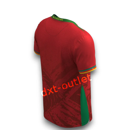 Camerún 2025 2ª Rép.