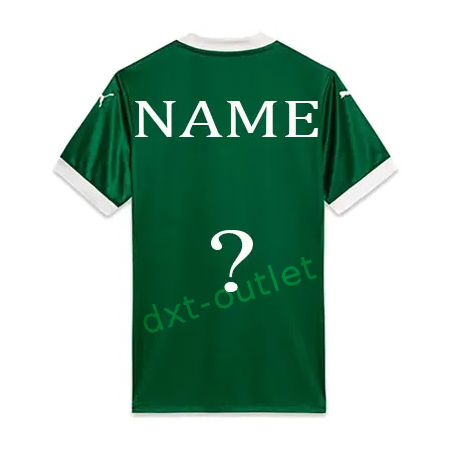 Palmeiras 2025-26 1ª Rép.