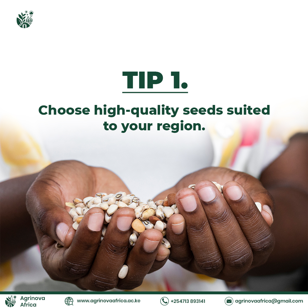 Premium Regional Seeds