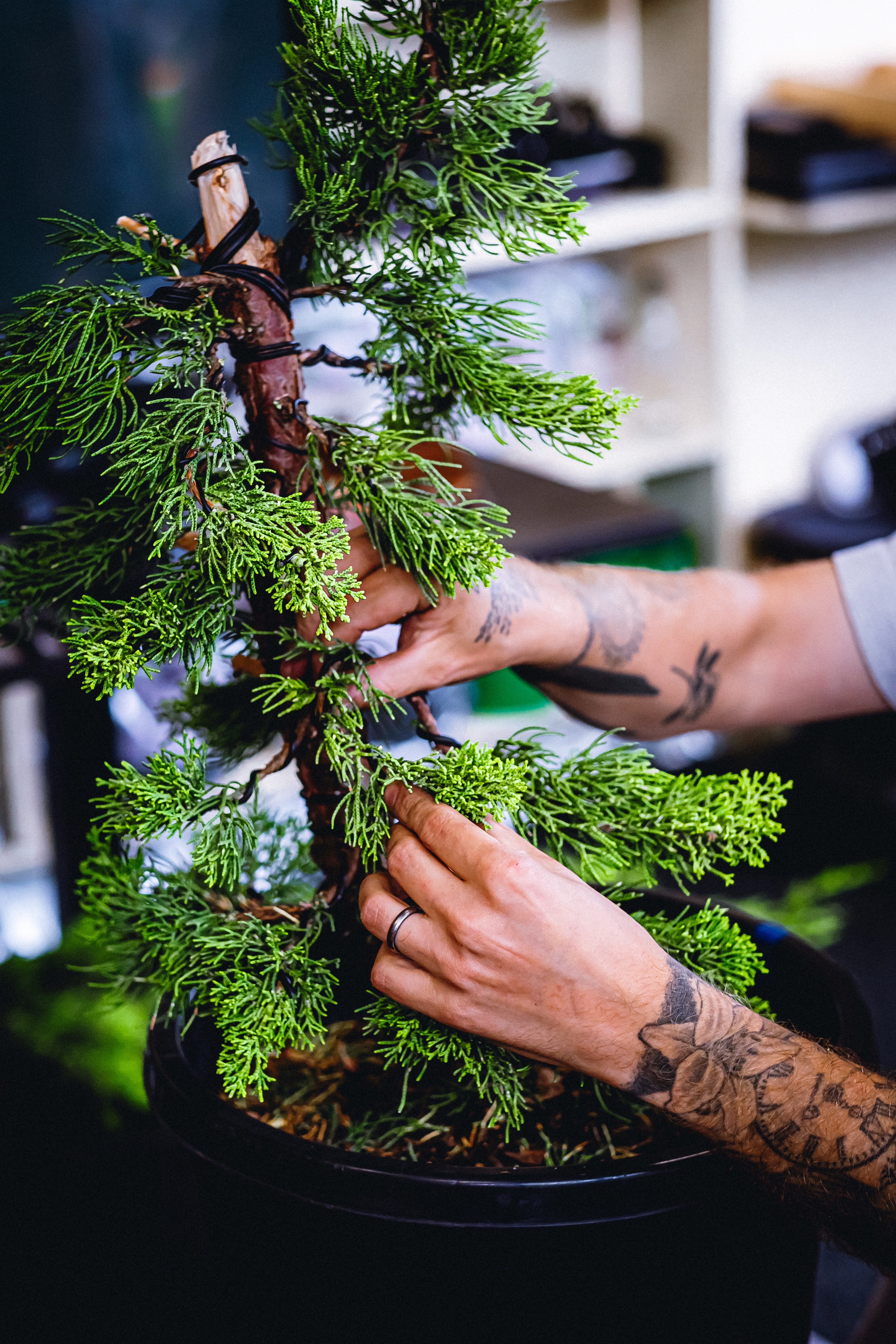 Bonsai Pot Workshop