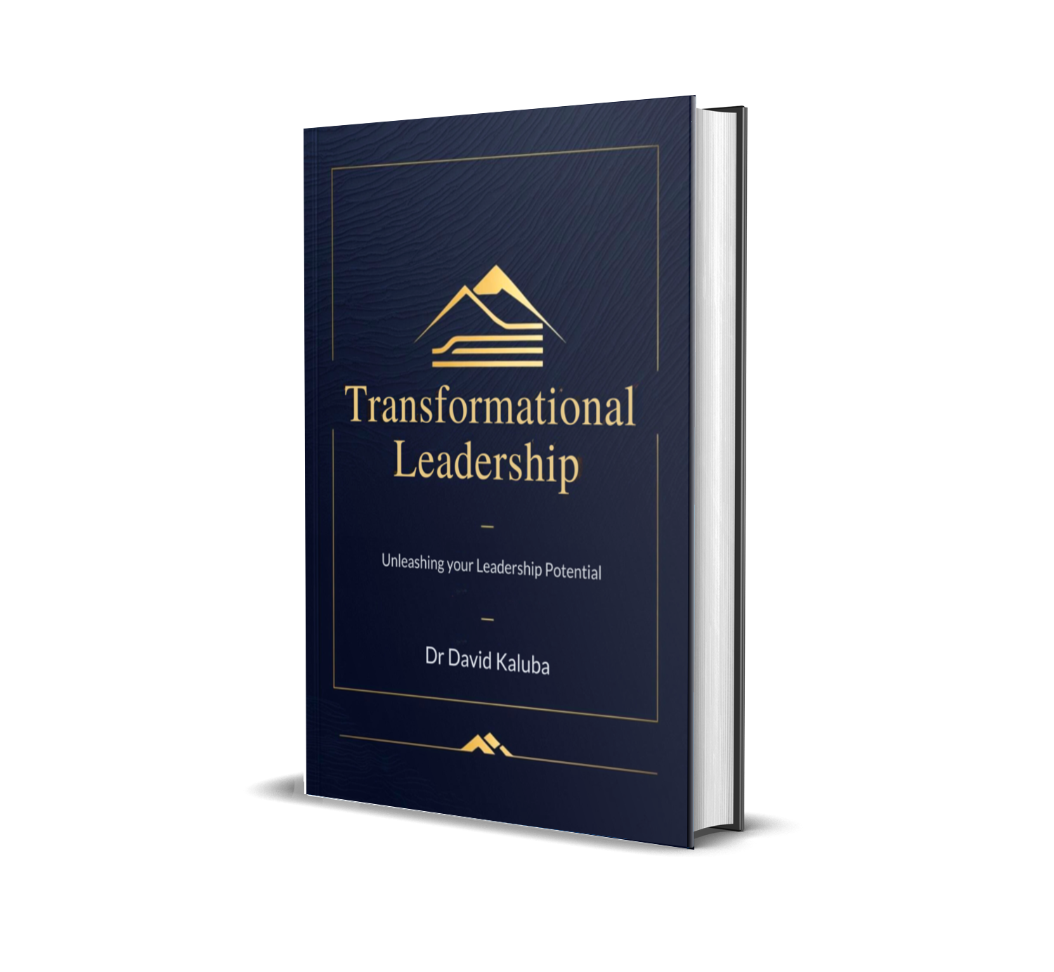 Transformational Leadership (Paperback)