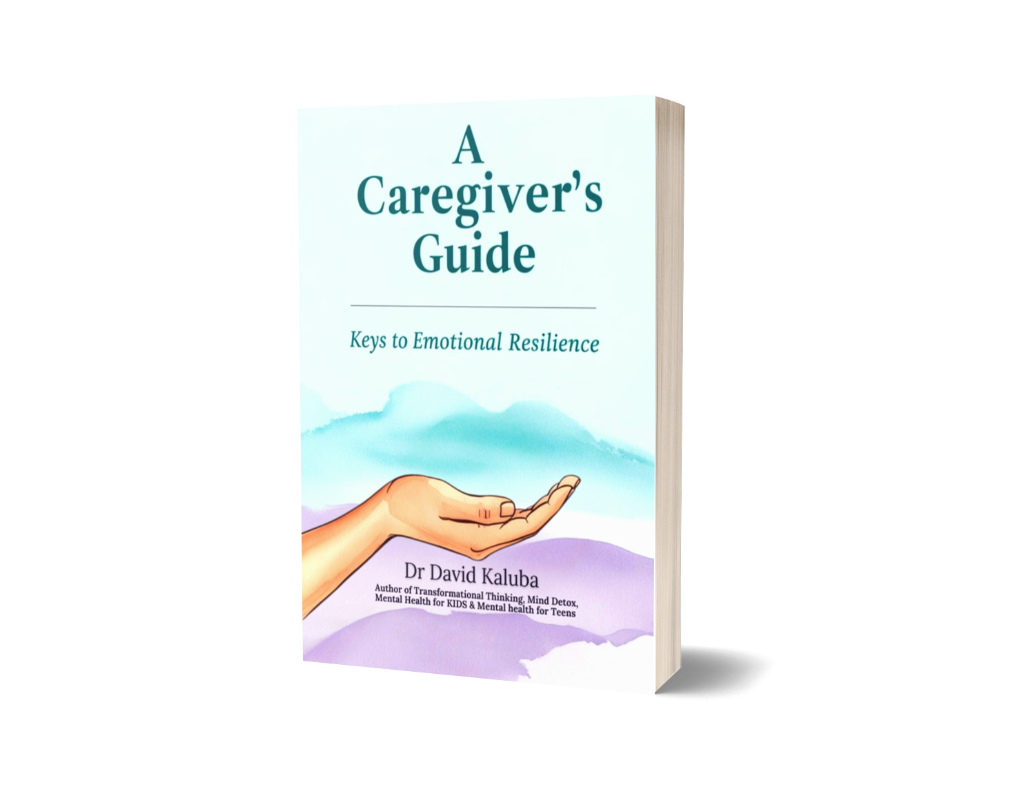 A Caregiver's Guide (Paperback)