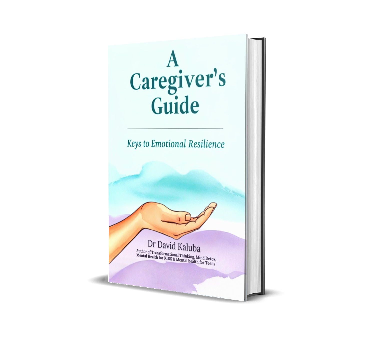 A Caregiver's Guide (Hardcover)