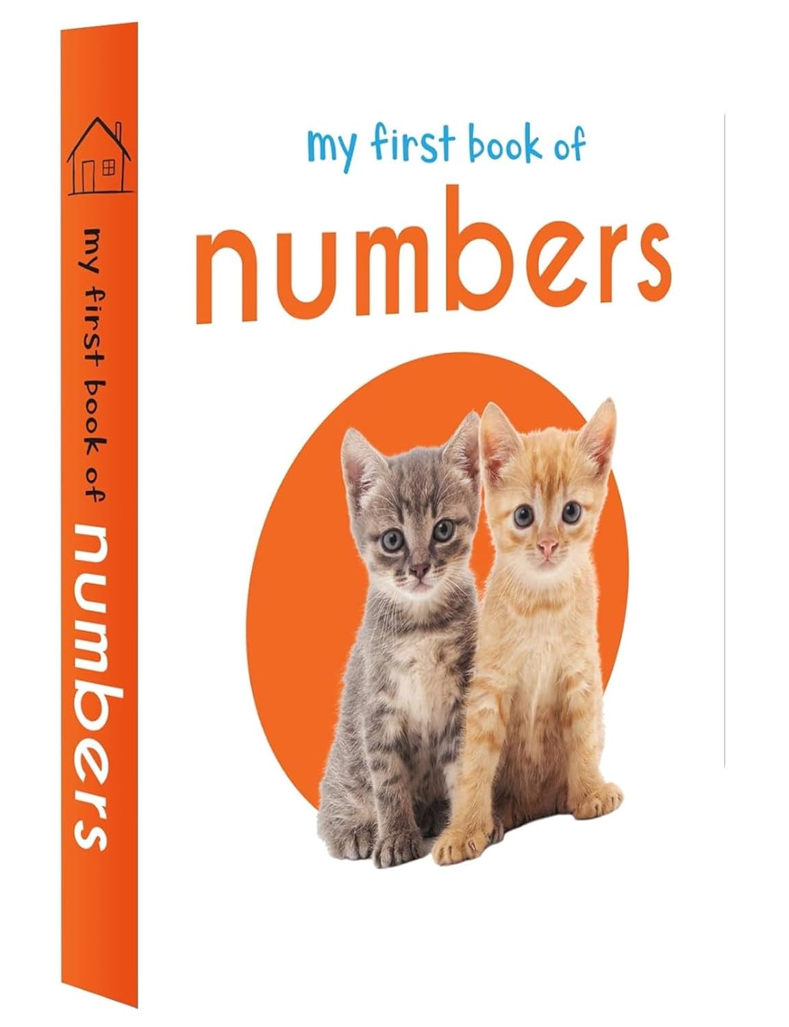 My First Library: Box Set of 10 Board Books for Kids