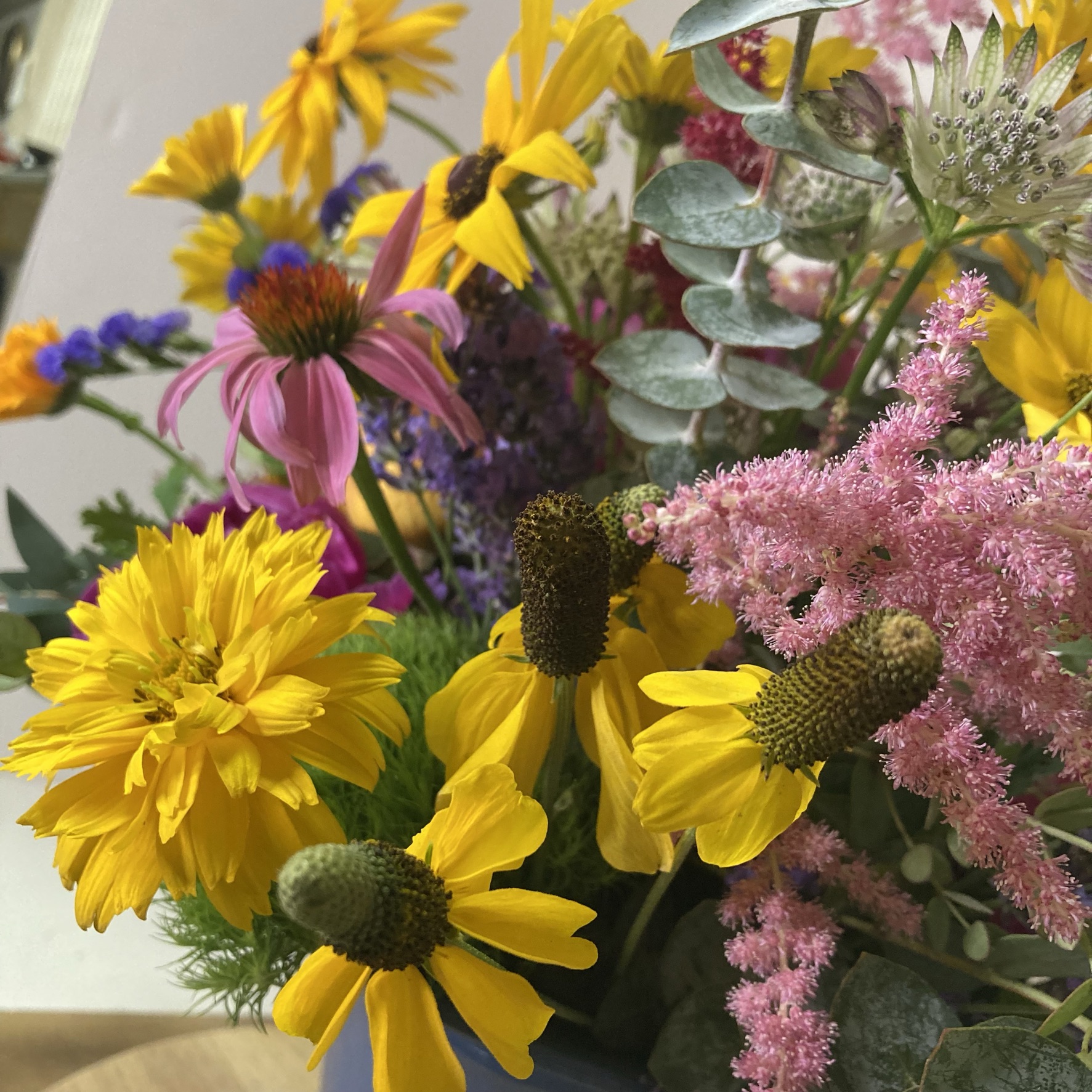 HortiFlora Products Coming Soon!