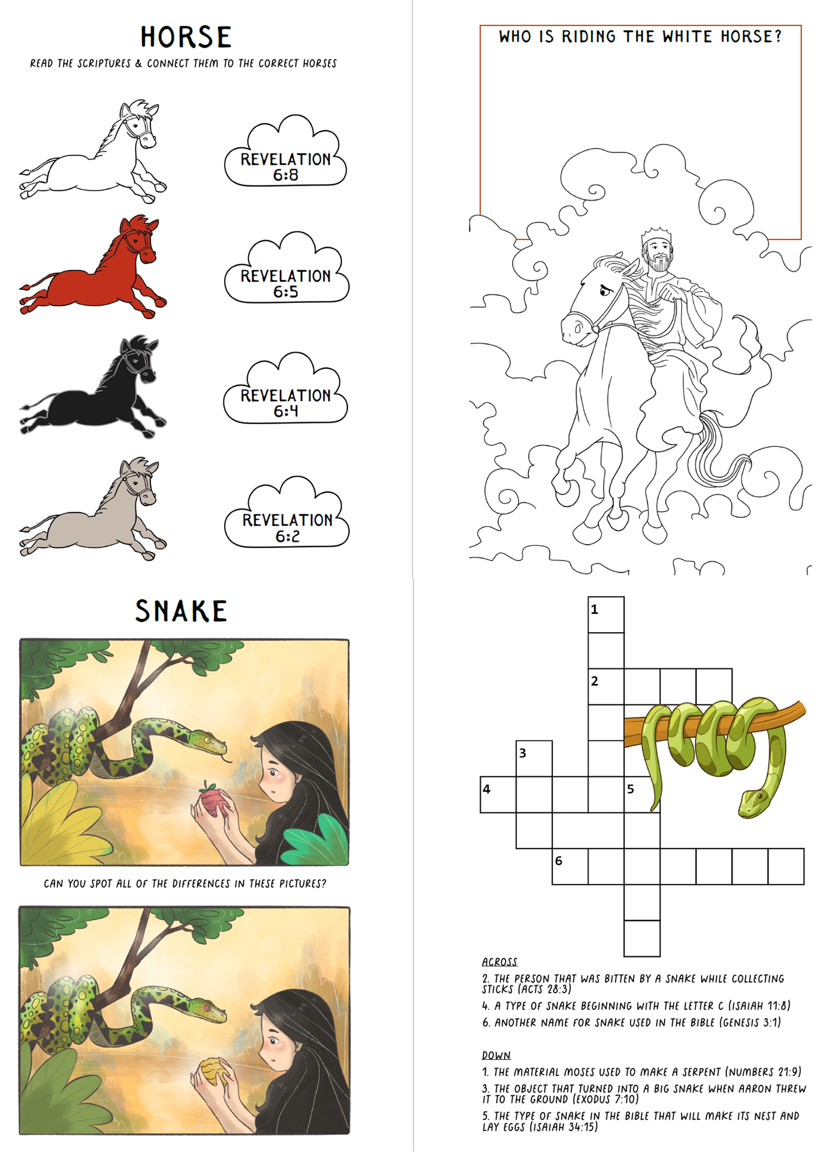 DIGITAL Bible Creation Activity Book