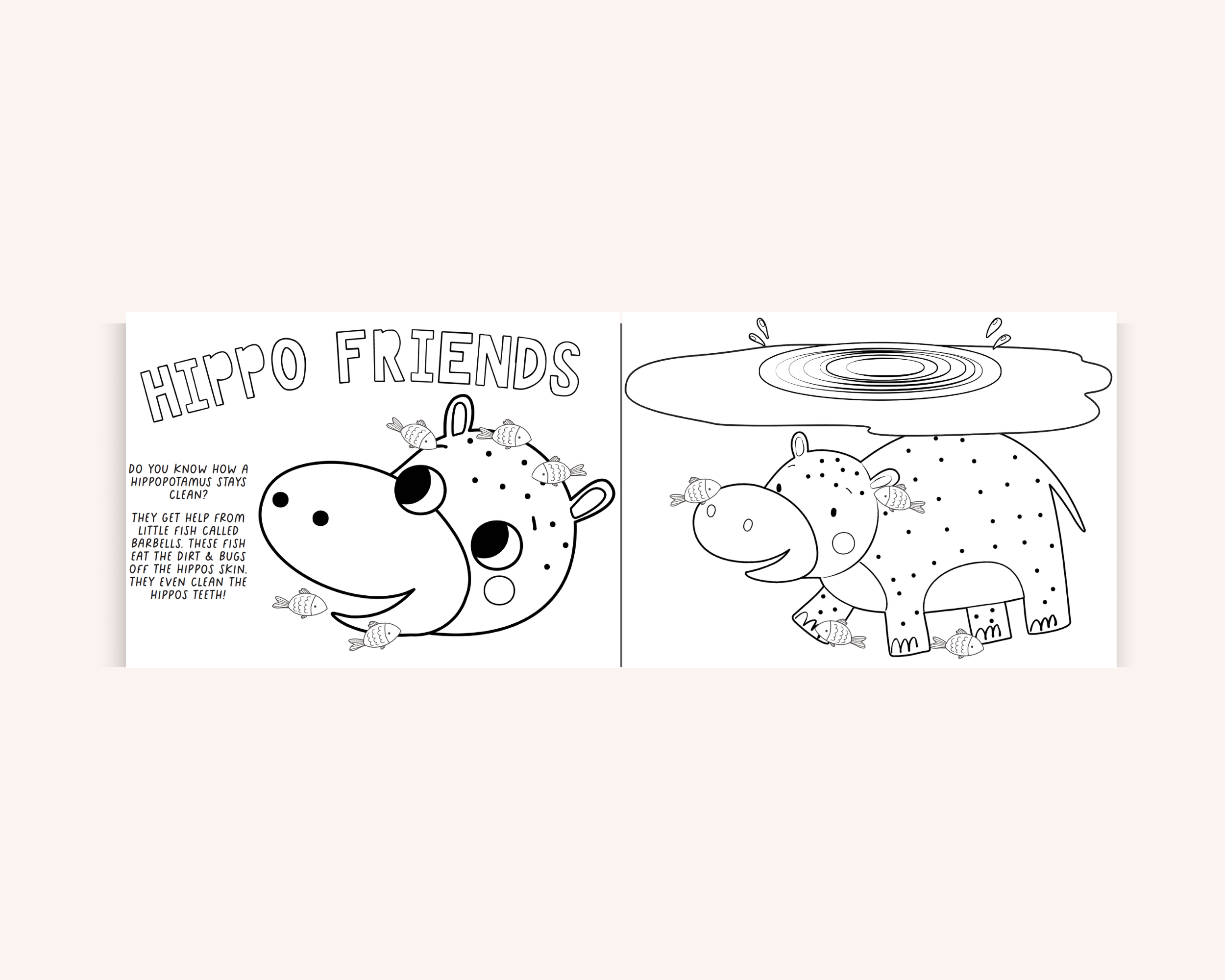 Creation Colouring Gift Bundle