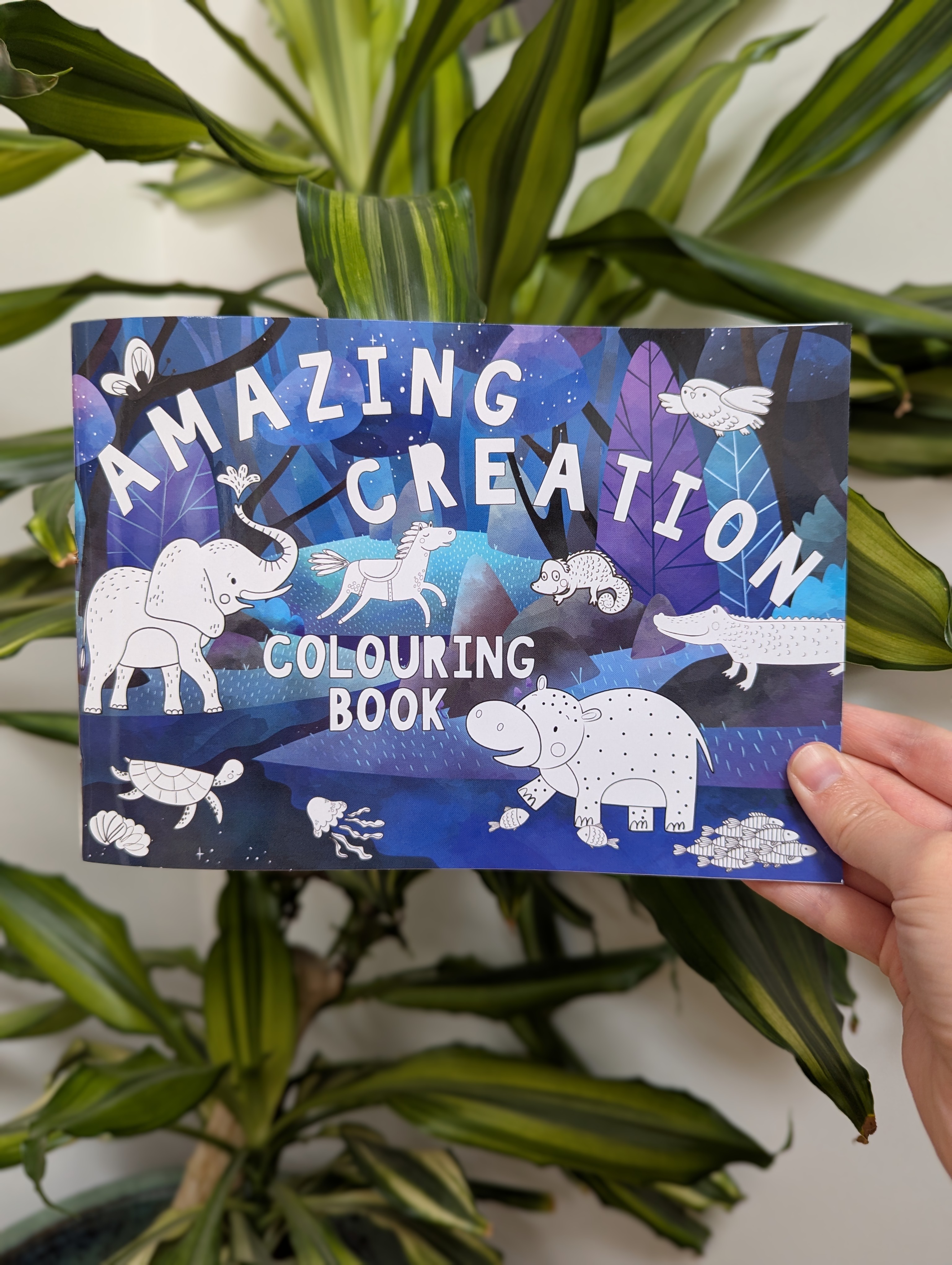 Creation Colouring Gift Bundle