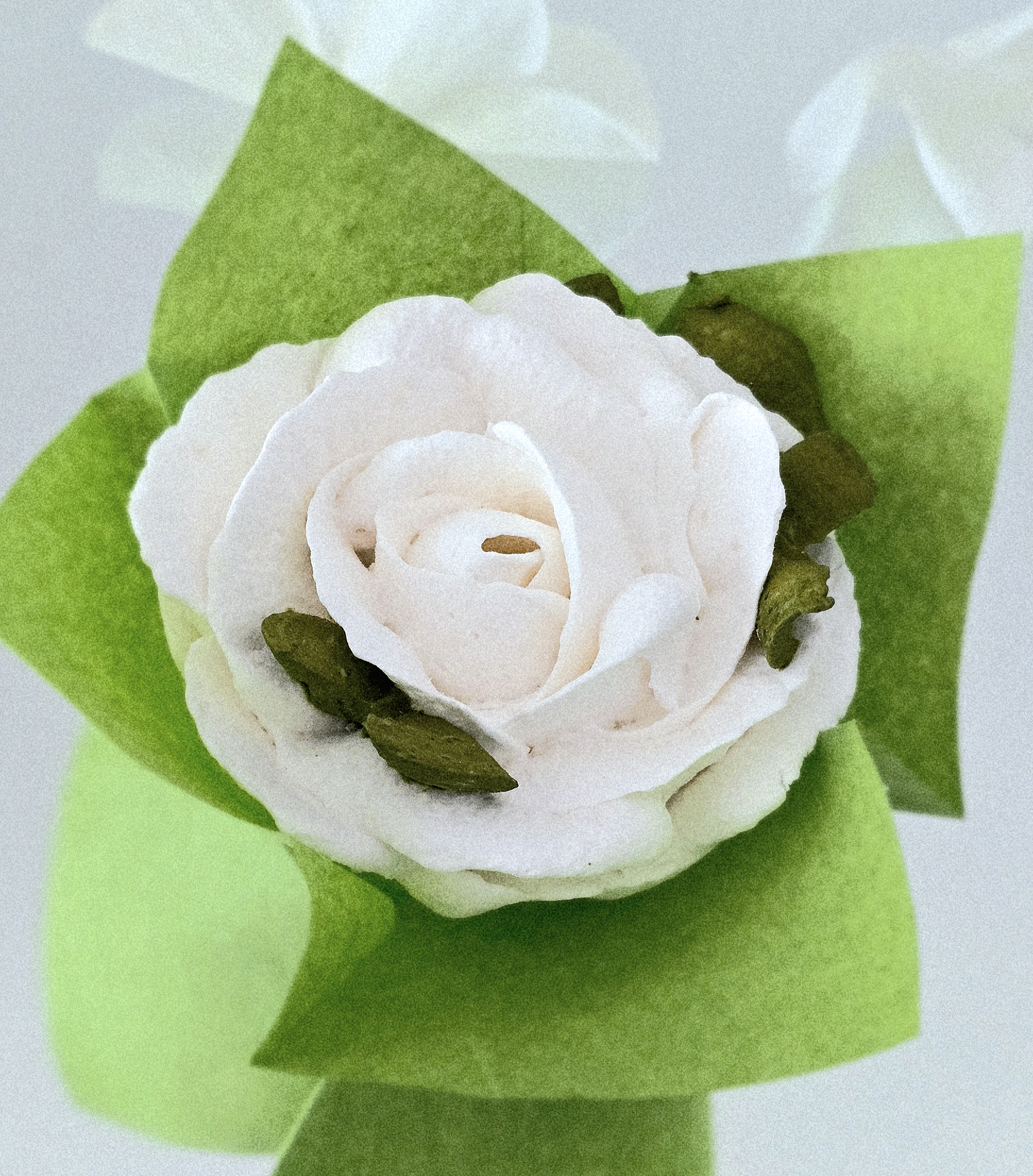 Single Flower in a Box