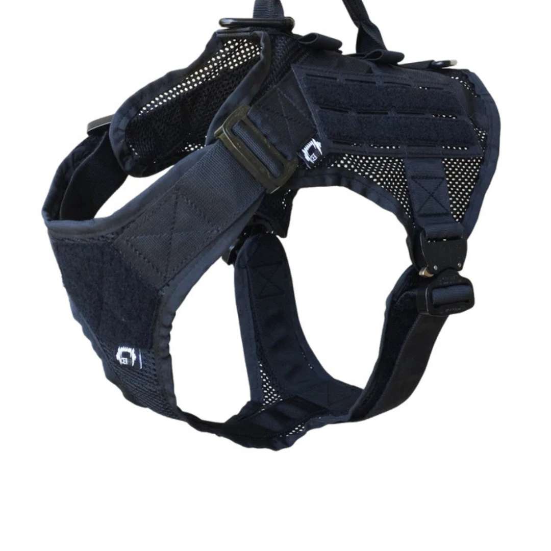 Crixo Harness