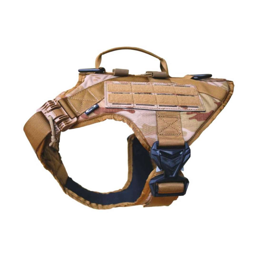 Praetorian Harness