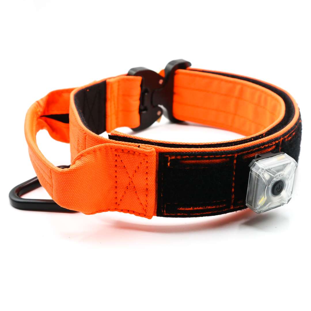 Collar de Cordura Naranja