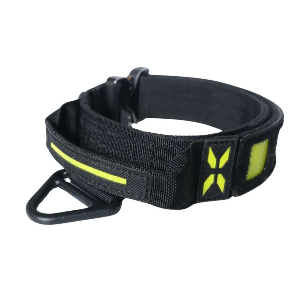Collar High Reflective 