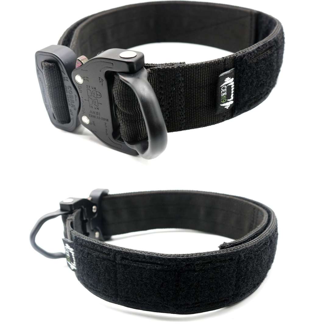 Collar Táctico MOLLE D-ring 2.0 