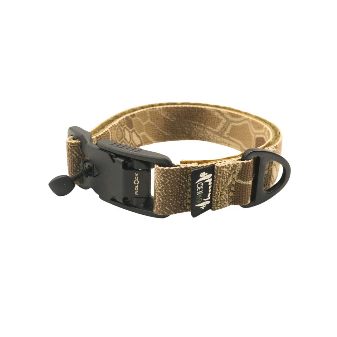 Collar Puppy 